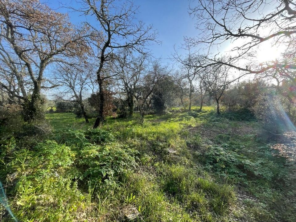 Helårsgrund i Ferreira do Zezere, Santarem - foto 3