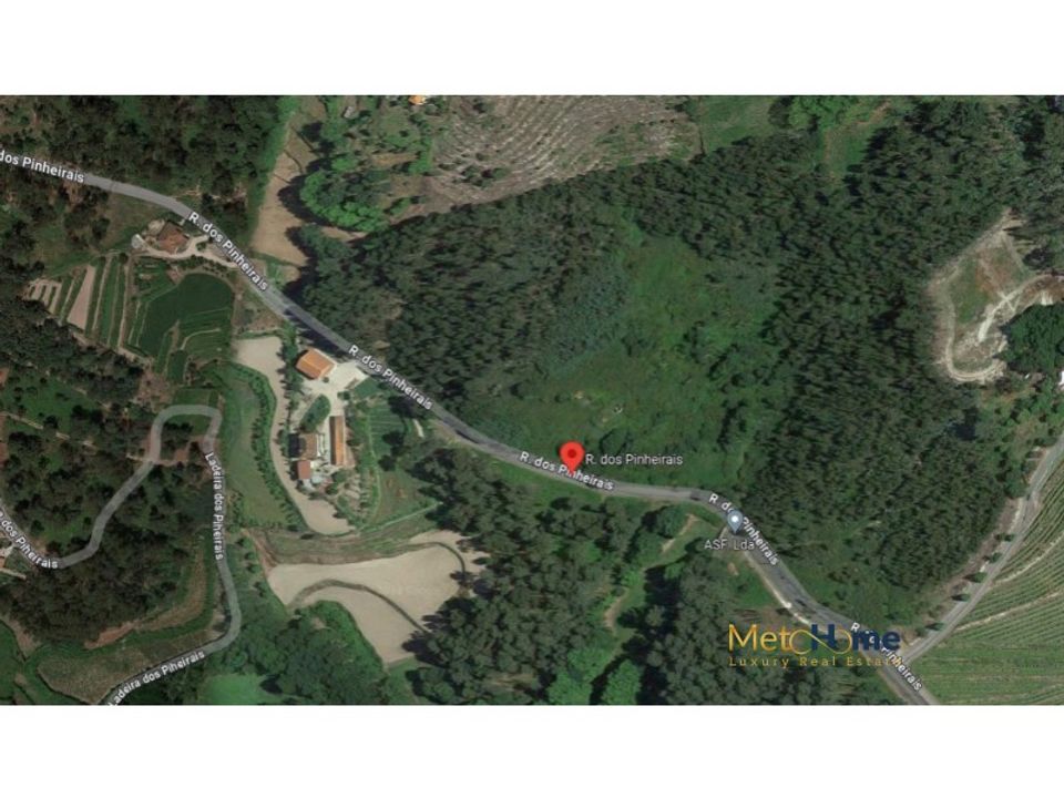 Helårsgrund i Travanca, Viseu - foto 2