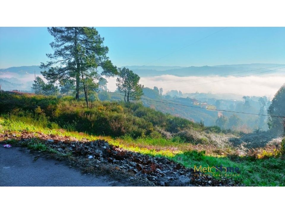 Helårsgrund i Travanca, Viseu - foto 2