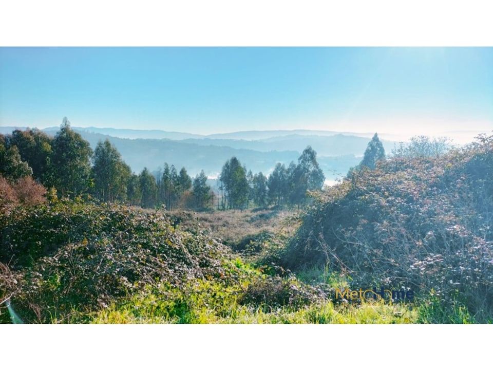 Helårsgrund i Travanca, Viseu - foto 5