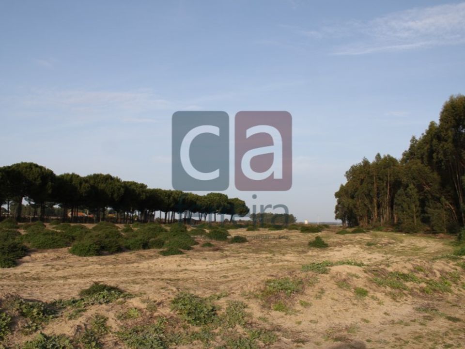 Helårsgrund i Almeirim, Santarem - foto 2