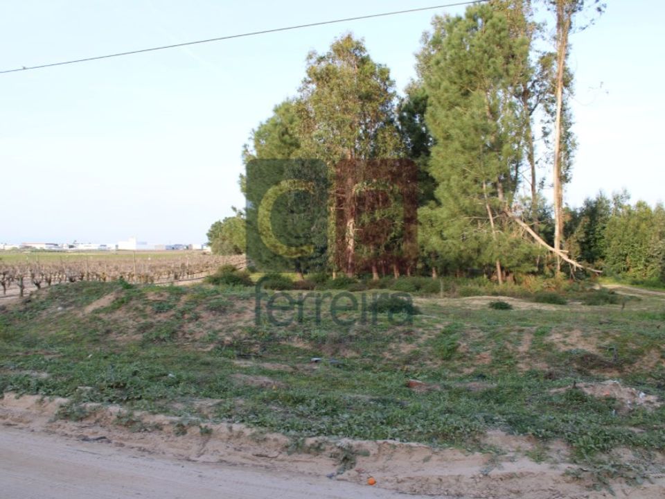 Helårsgrund i Almeirim, Santarem - foto 1