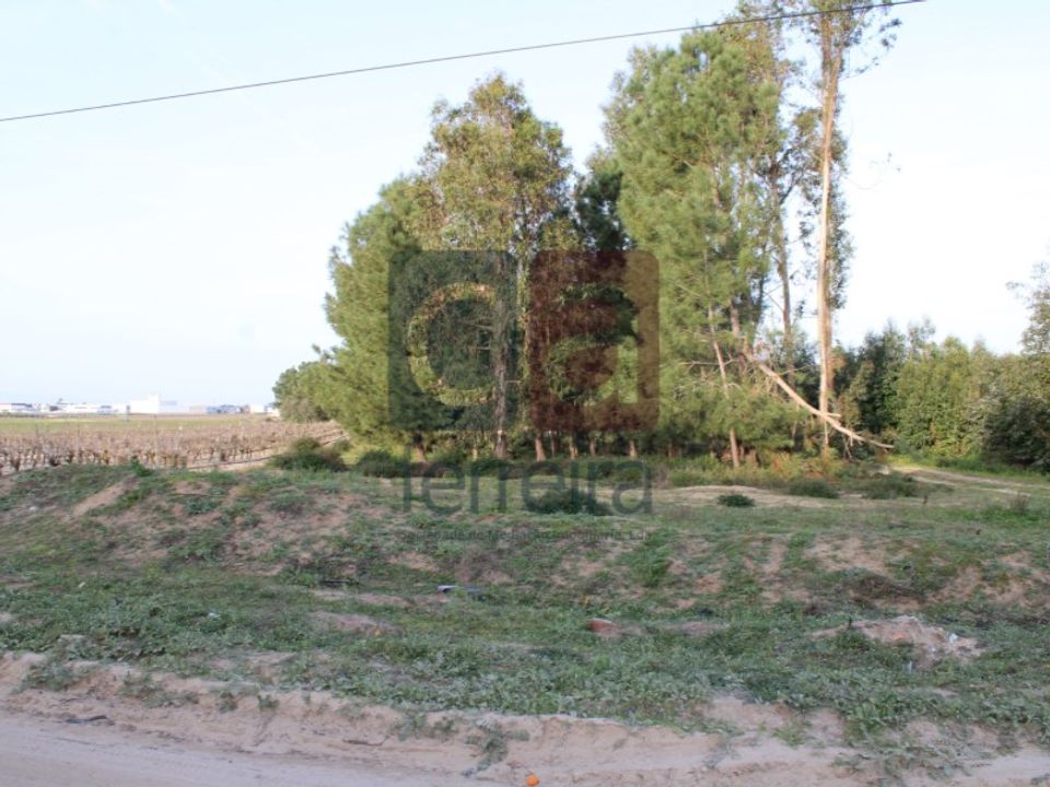 Helårsgrund i Almeirim, Santarem - foto 2