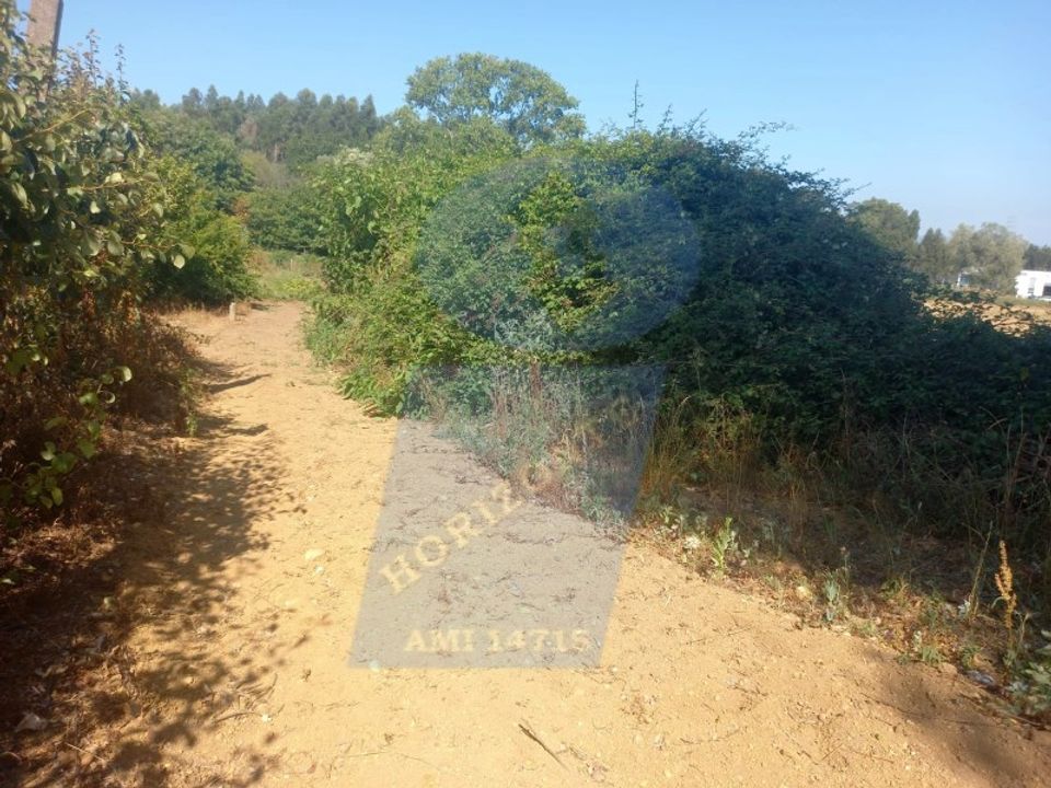 Helårsgrund i Barro, Aveiro - foto 1