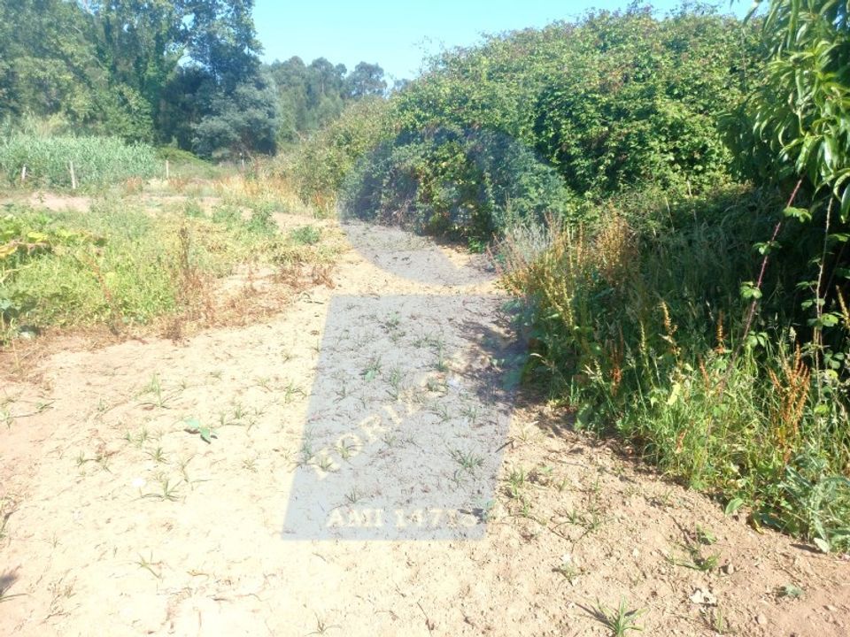 Helårsgrund i Barro, Aveiro - foto 3