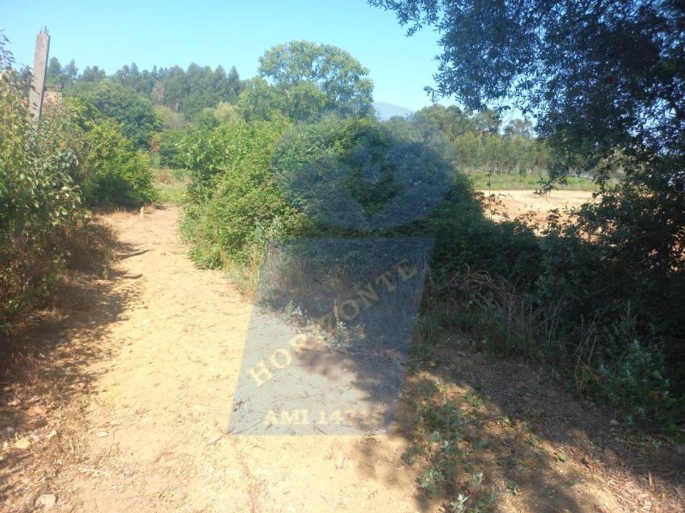 Helårsgrund i Barro, Aveiro - foto 4