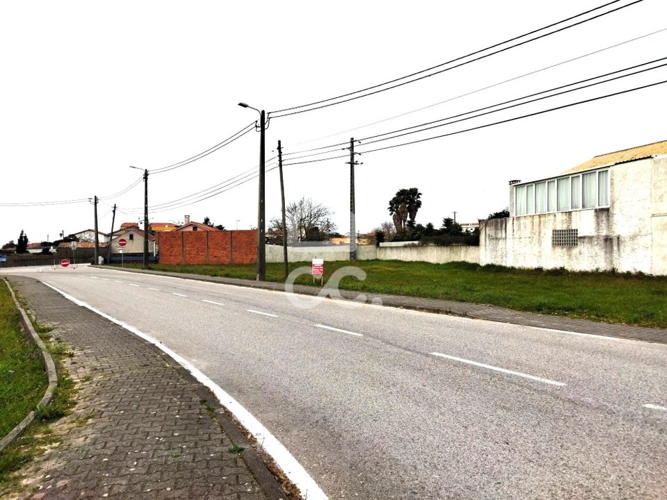 Helårsgrund i Vieira de Leiria, Leiria - foto 5