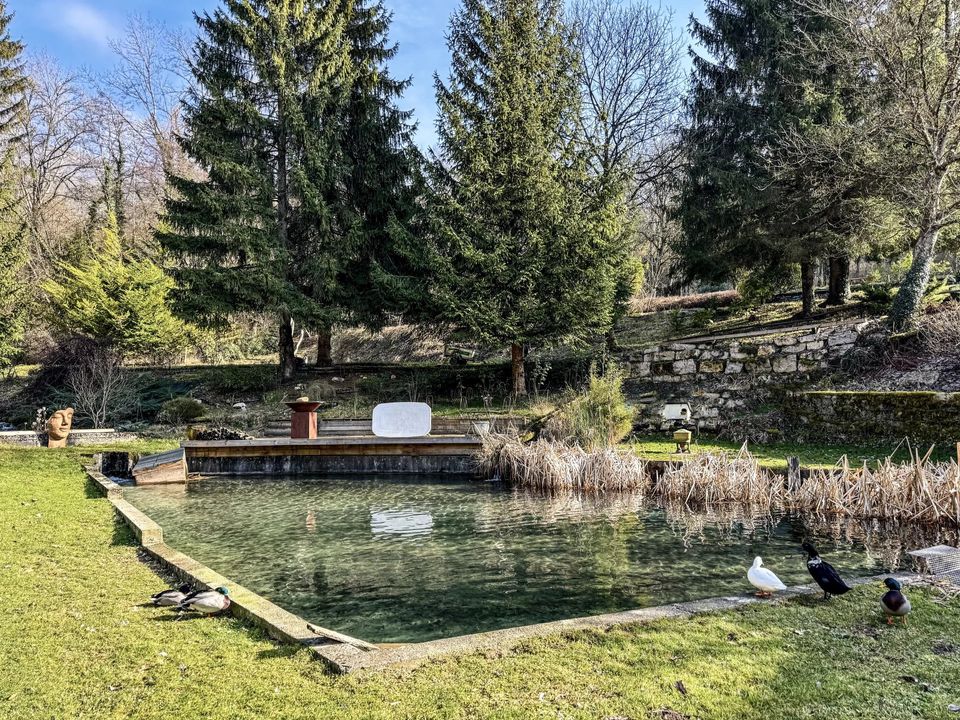 Villa i Aiguebelette-le-Lac, Savoie - foto 1