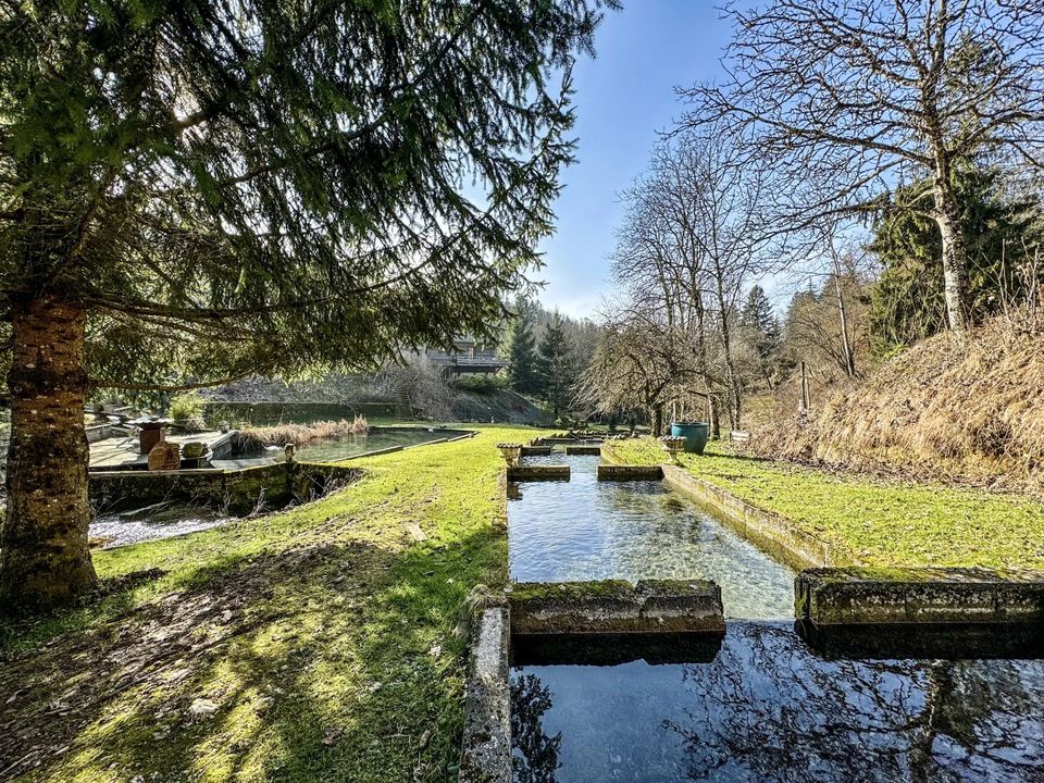 Villa i Aiguebelette-le-Lac, Savoie - foto 2