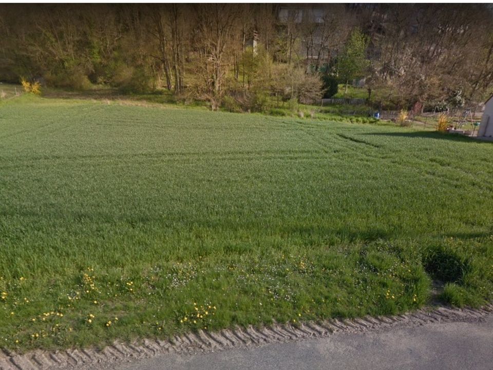 Helårsgrund i Prunay-sur-Essonne, Essonne - foto 1