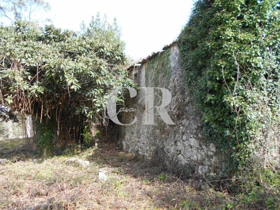 Landejendom i Ansiao, Leiria - foto 5