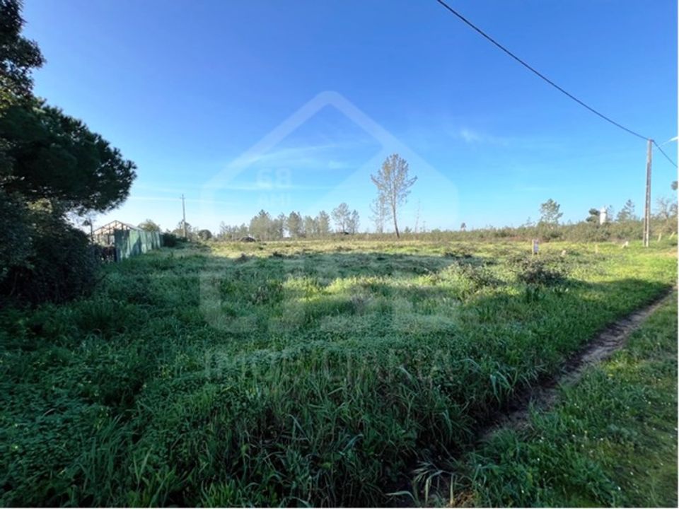 Helårsgrund i Benavente, Santarem - foto 4