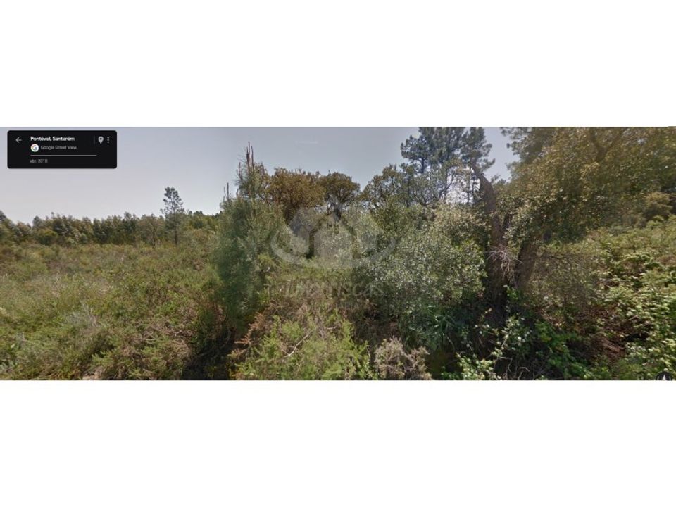Helårsgrund i Pontevel, Santarem - foto 2