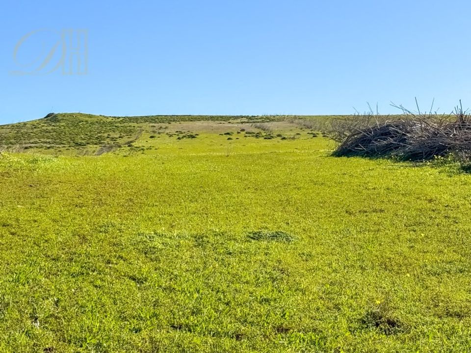 Helårsgrund i Sagres, Faro - foto 5
