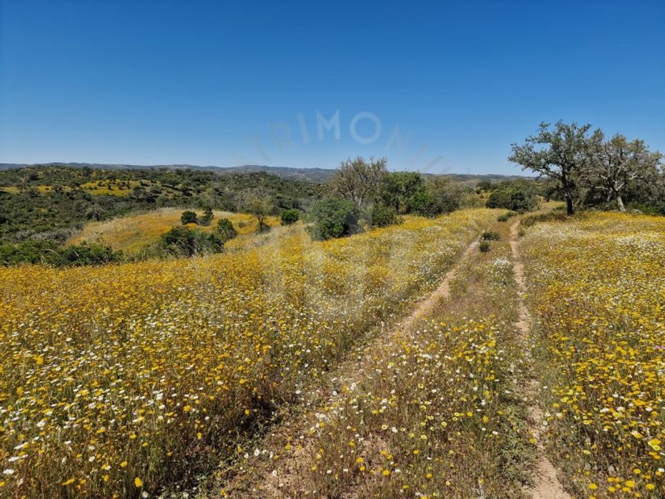 Landejendom i Almodovar, Beja - foto 1