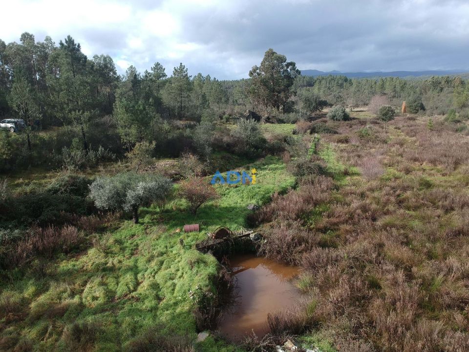 Helårsgrund i Castelo Branco, Castelo Branco - foto 5