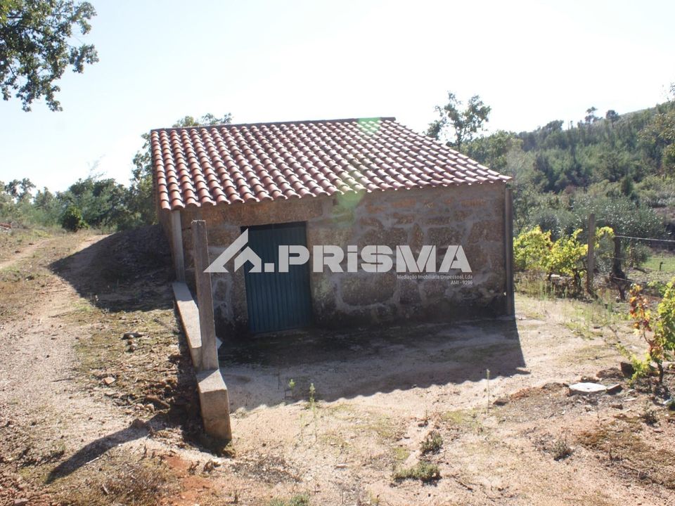 Farm i Fundao, Castelo Branco - foto 2