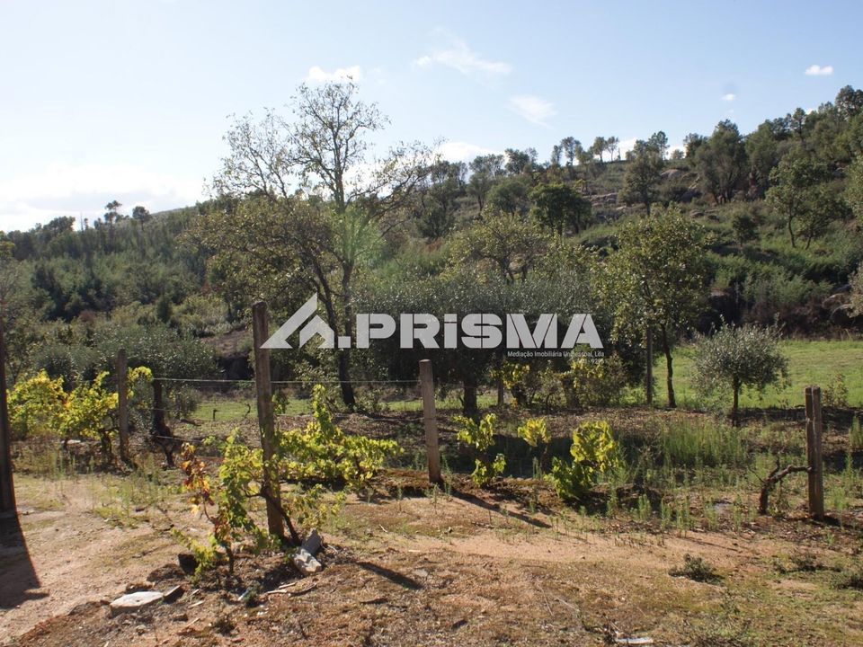 Farm i Fundao, Castelo Branco - foto 3