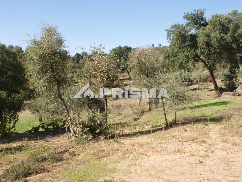 Farm i Fundao, Castelo Branco - foto 4