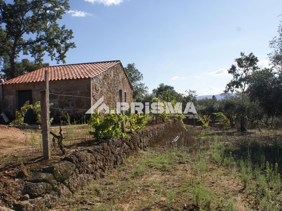 Farm i Fundao, Castelo Branco - foto 1