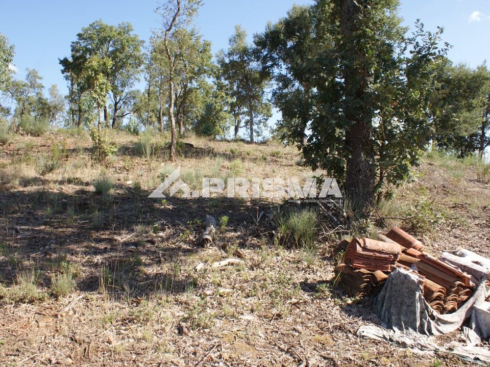 Farm i Fundao, Castelo Branco - foto 5
