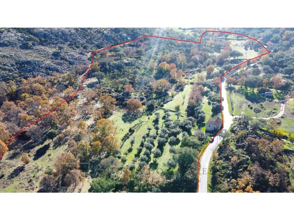 Granja a Castelo de Vide, Portalegre - foto 2