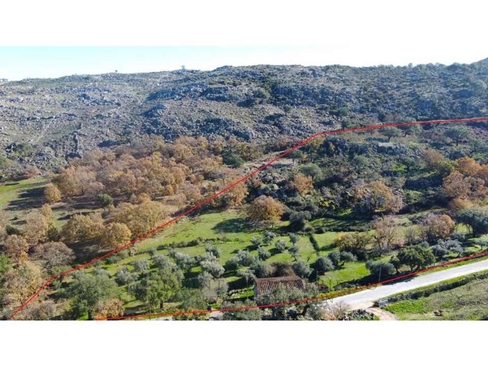 Granja a Castelo de Vide, Portalegre - foto 4