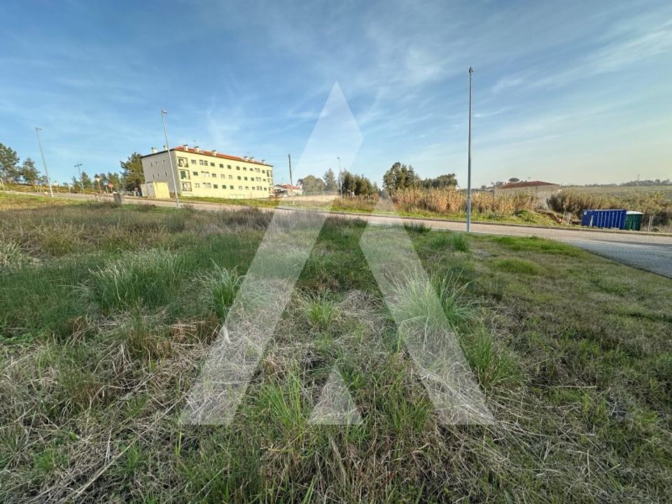 Helårsgrund i Oliveira do Bairro, Aveiro - foto 4