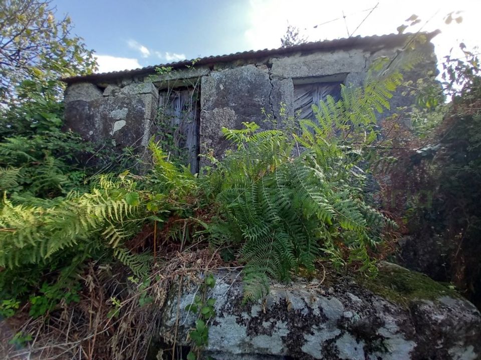 Landejendom i Segude, Viana do Castelo - foto 4