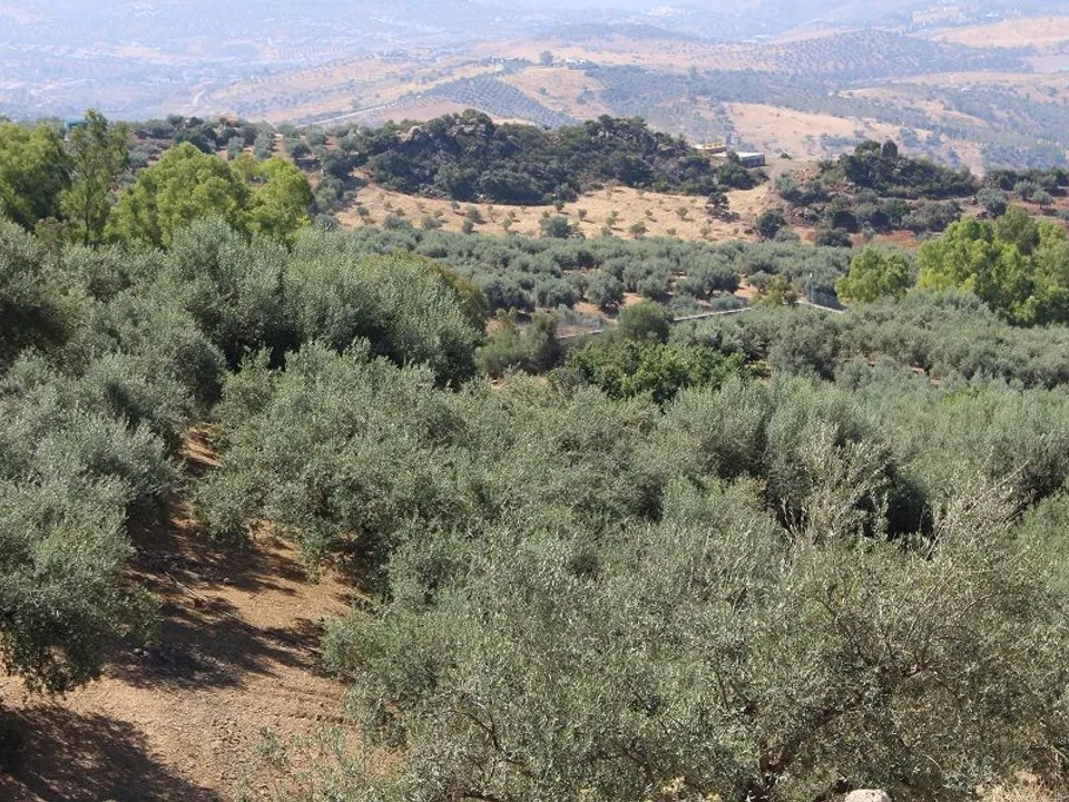 Casa rural em Periana, Malaga - foto 2