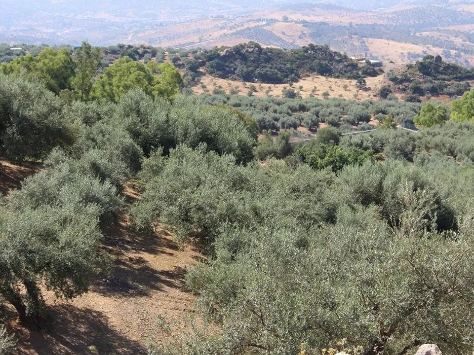 Casa rural em Periana, Malaga - foto 4