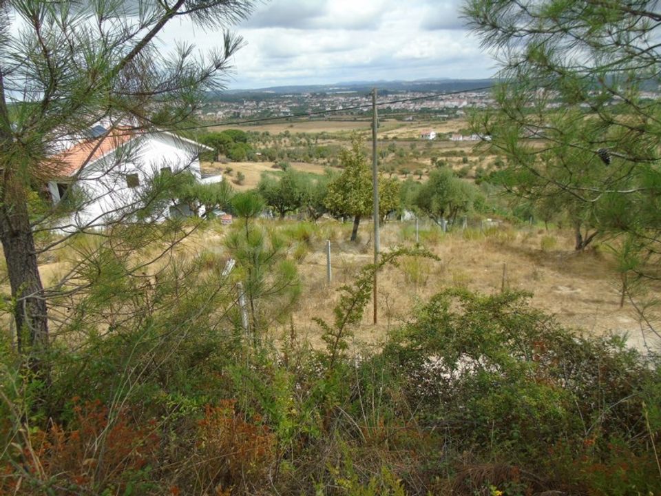 Tomt i Abrantes, Santarem - foto 1