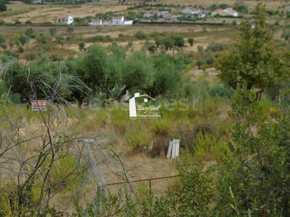 Tomt i Abrantes, Santarem - foto 4