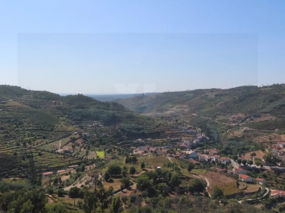 Farm i Oliveira do Hospital, Coimbra - foto 4