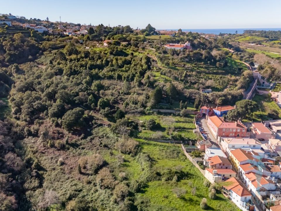 Farm i Almocageme, Lisbon - foto 5
