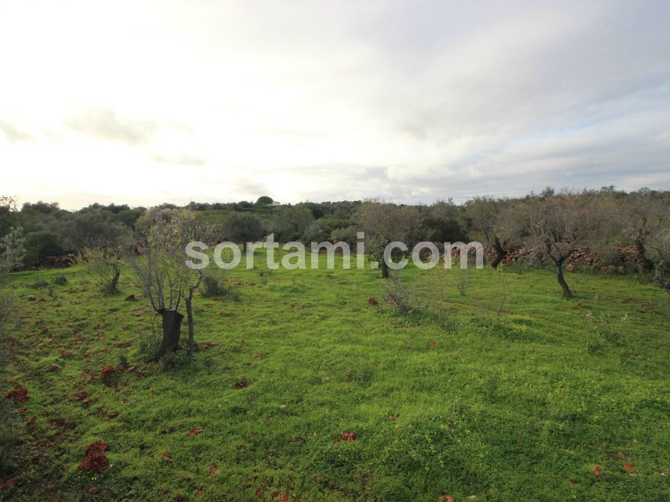 Helårsgrund i Silves, Faro - foto 1