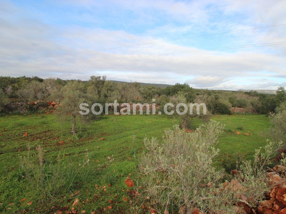 Helårsgrund i Silves, Faro - foto 3