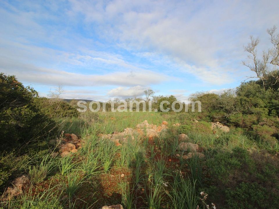 Helårsgrund i Silves, Faro - foto 4