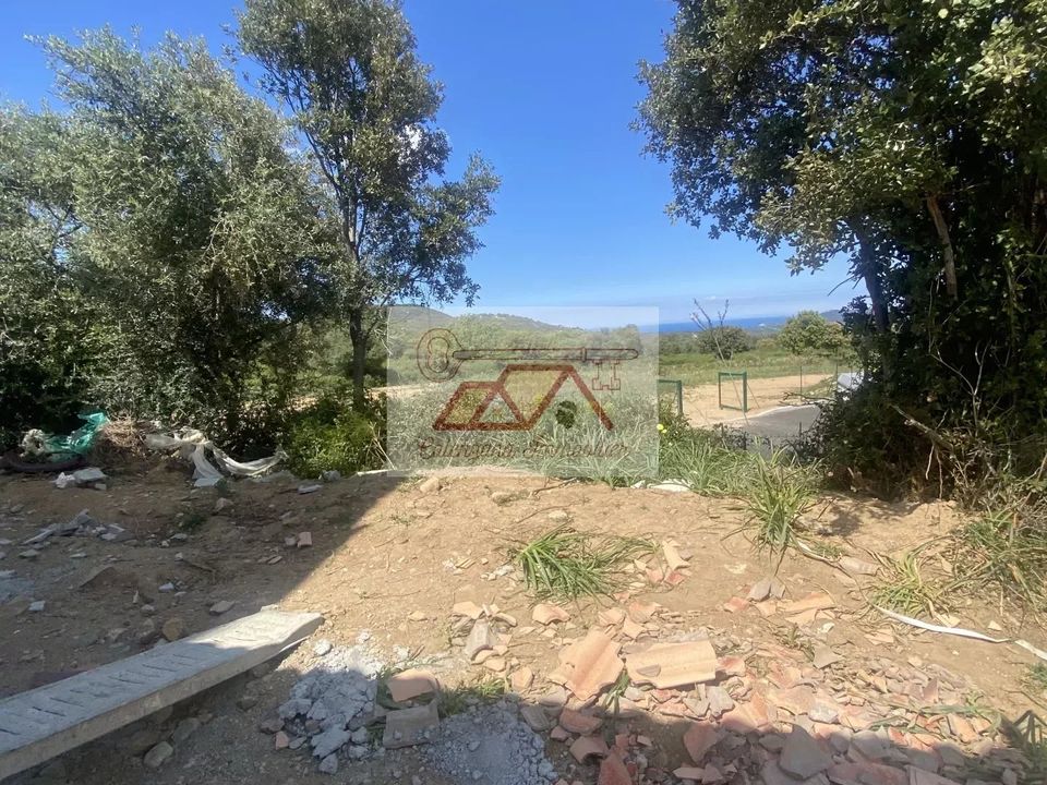 Helårsgrund i Calenzana, Haute-Corse - foto 3