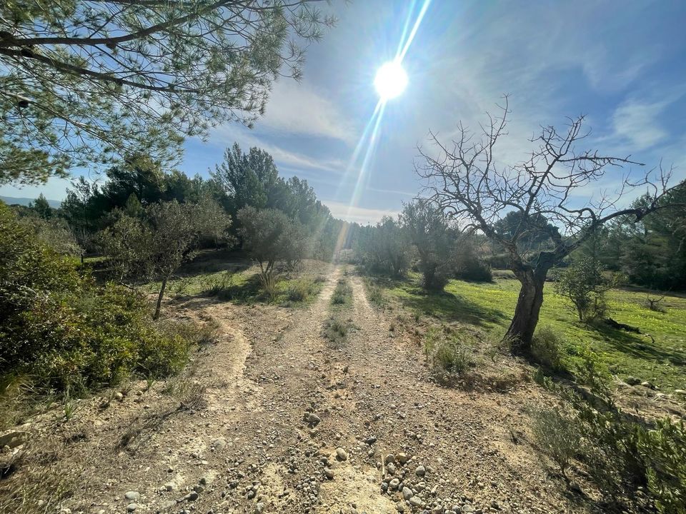 Finca i Calvia, Mallorca - foto 4