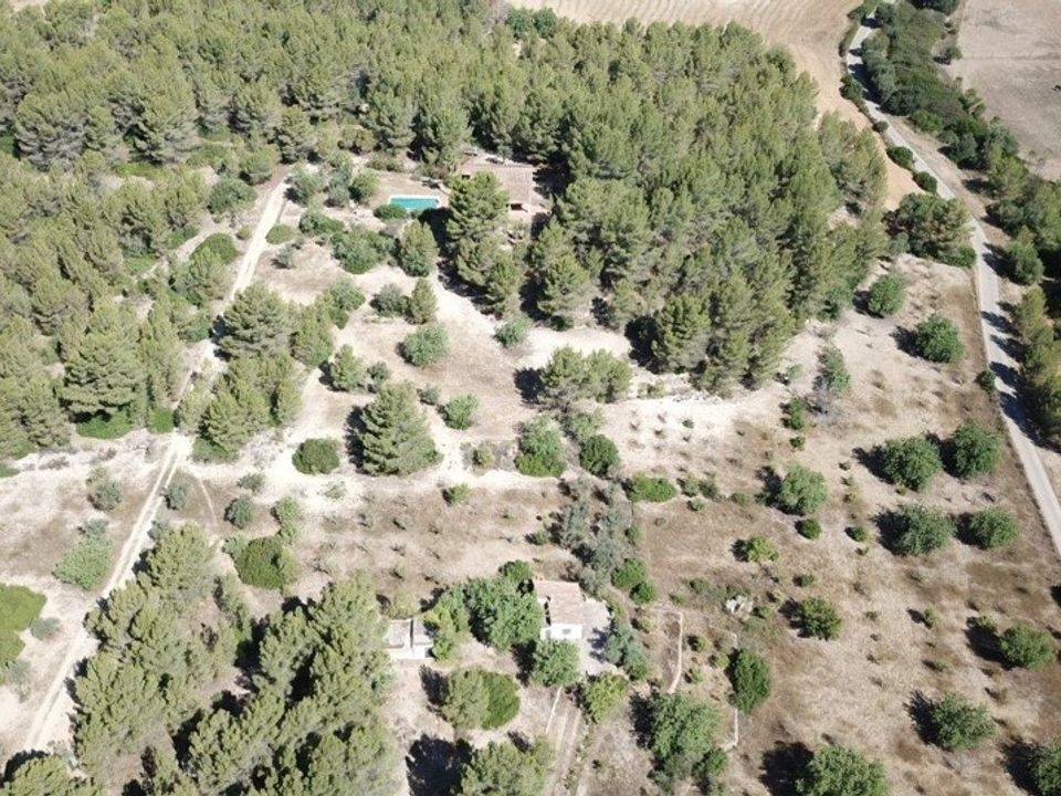 Finca i Calvia, Mallorca - foto 5