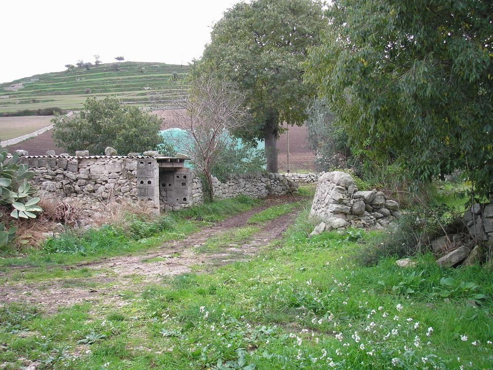 Villa a Ragusa, Ragusa - foto 3