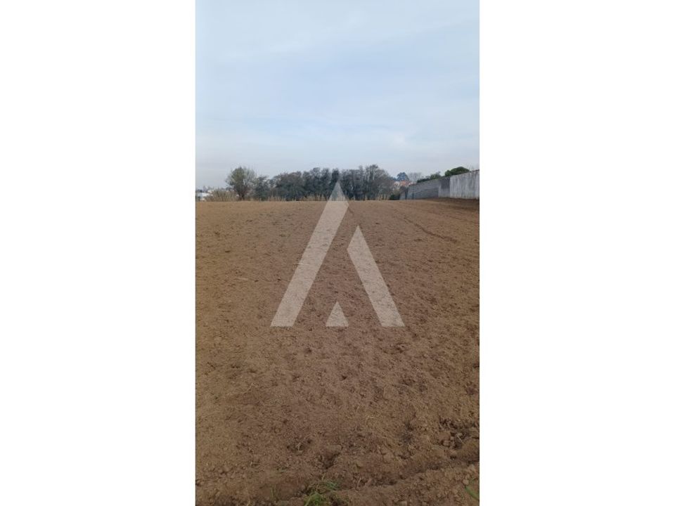 Helårsgrund i Ilhavo, Aveiro - foto 2