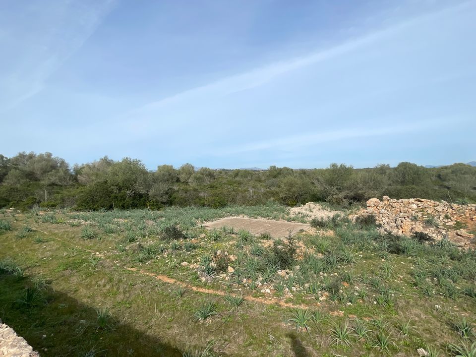 Finca i Maria De La Salut, Mallorca - foto 5