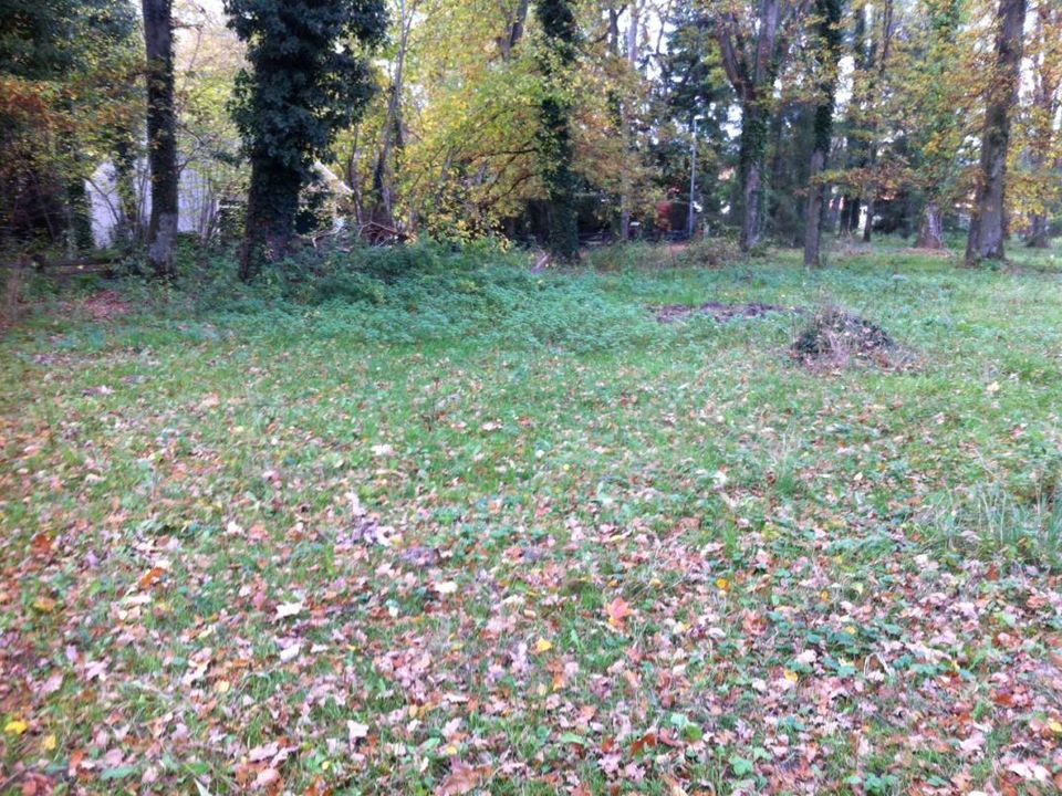 Helårsgrund i La Norville, Essonne - foto 1