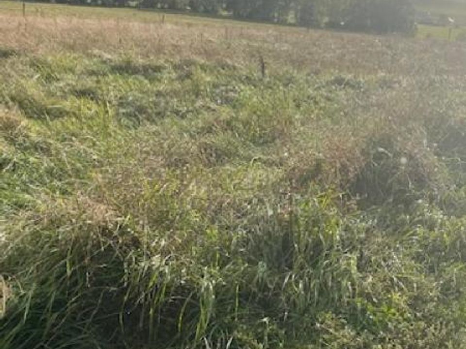 Helårsgrund i Moncel-sur-Seille, Meurthe-et-Moselle - foto 5