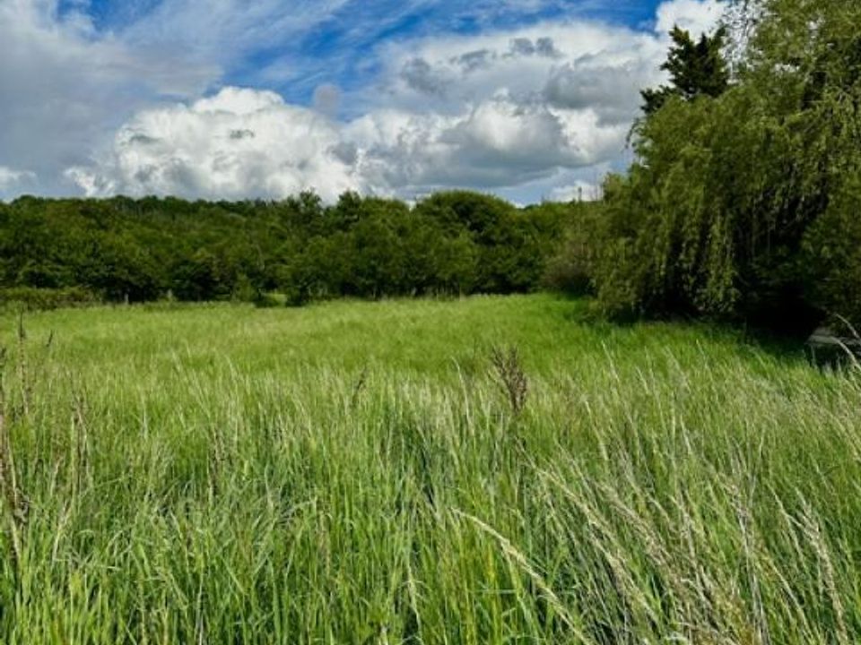 Helårsgrund i Moncel-sur-Seille, Meurthe-et-Moselle - foto 1
