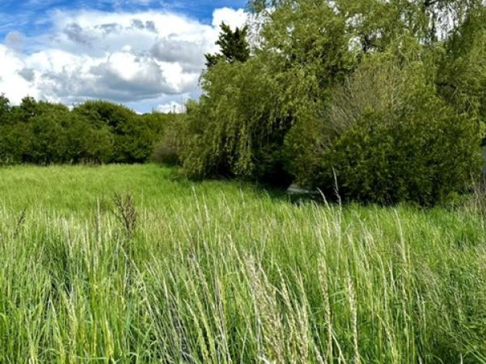Helårsgrund i Moncel-sur-Seille, Meurthe-et-Moselle - foto 3