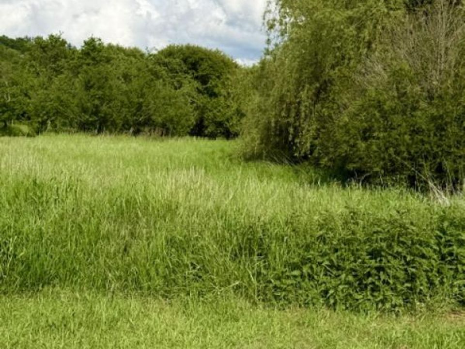 Helårsgrund i Moncel-sur-Seille, Meurthe-et-Moselle - foto 4