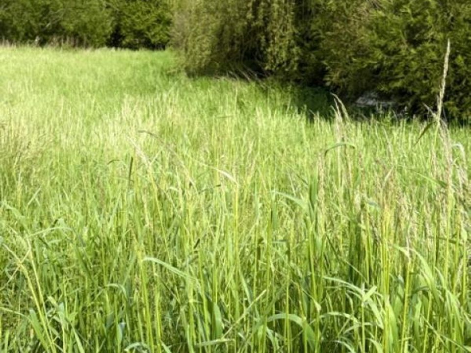 Helårsgrund i Moncel-sur-Seille, Meurthe-et-Moselle - foto 5